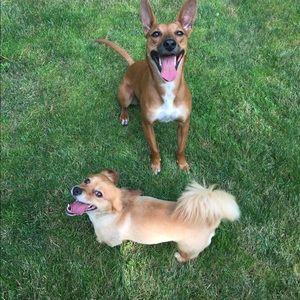 Meet your Posher, Jenn